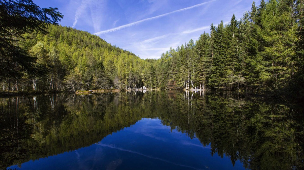 Winkelbergsee