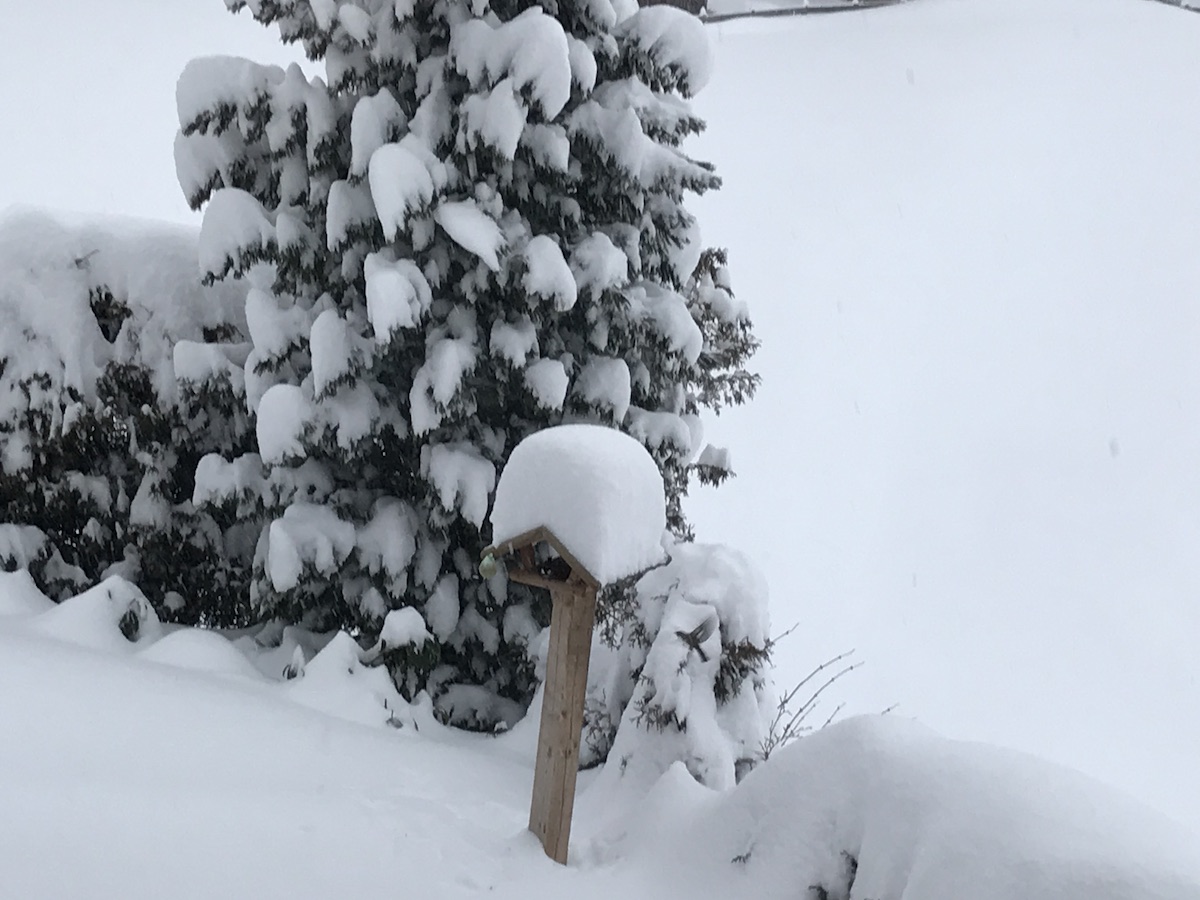 Winterlandschaft im Garten